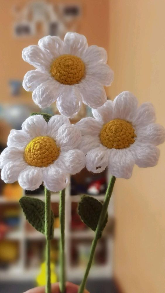 Daisy of your choice