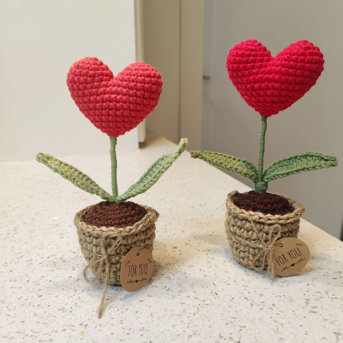 Heart pot + Personalized Note