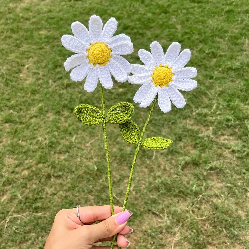 Daisy of your choice